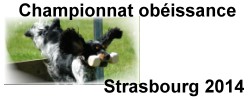 Championnat Ob Strasbourg