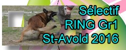 slectif Ring Gr1 St-Avold 2016