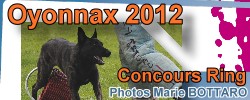 Photos Concours Ring 3 Oyonnax