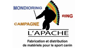 L'Apache