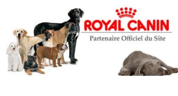 Royal Canin