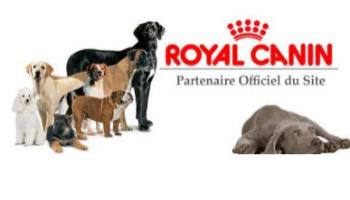 Royal Canin