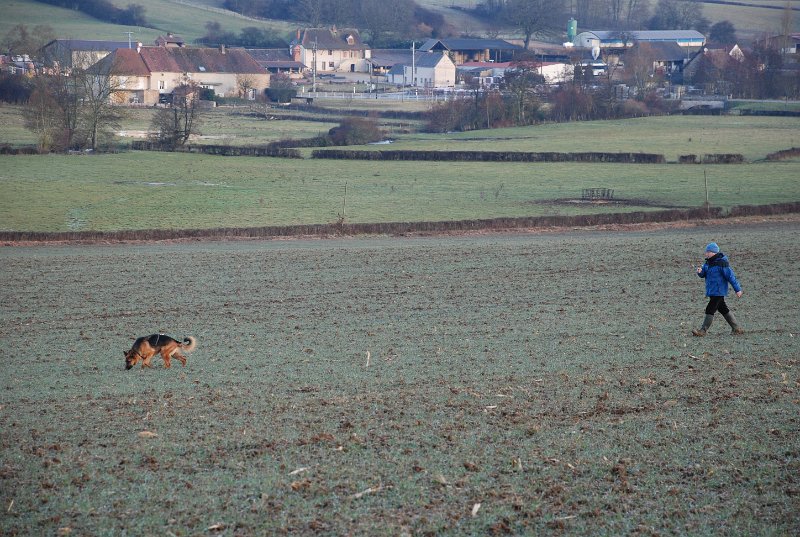 DSC_0140.JPG