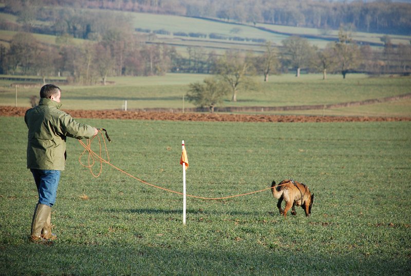 DSC_0147.JPG