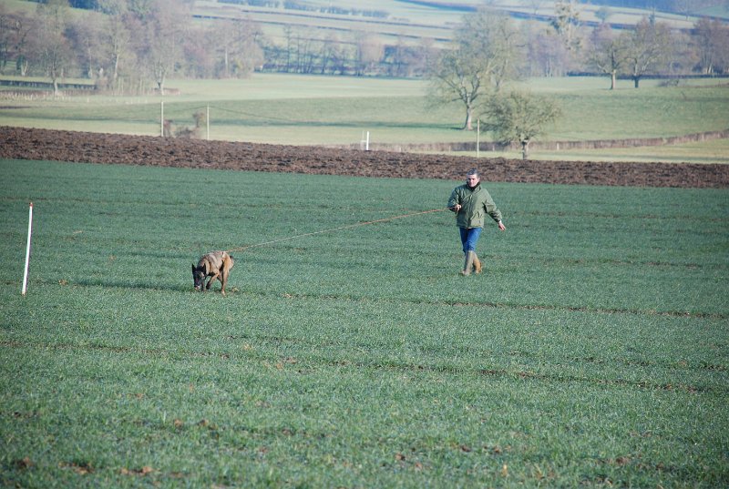 DSC_0149.JPG