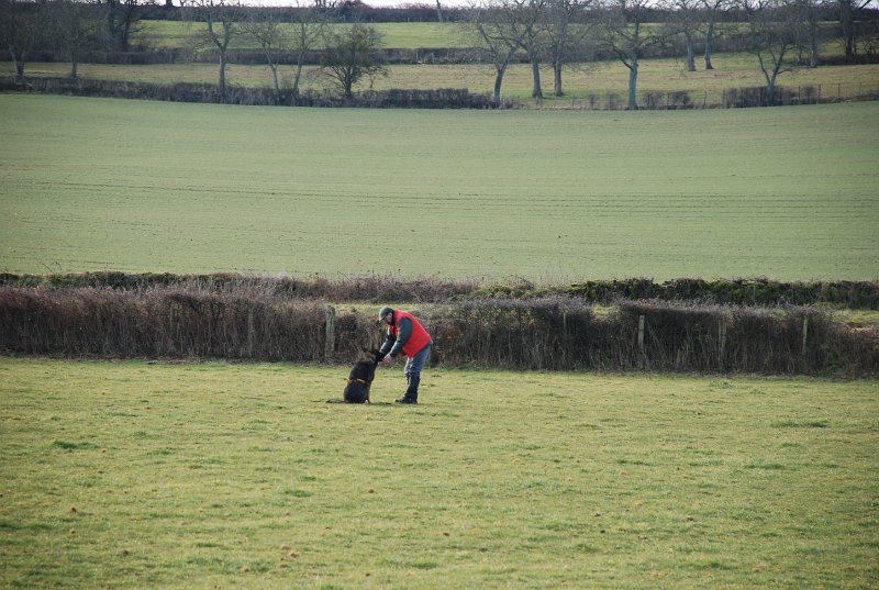DSC_0154.JPG