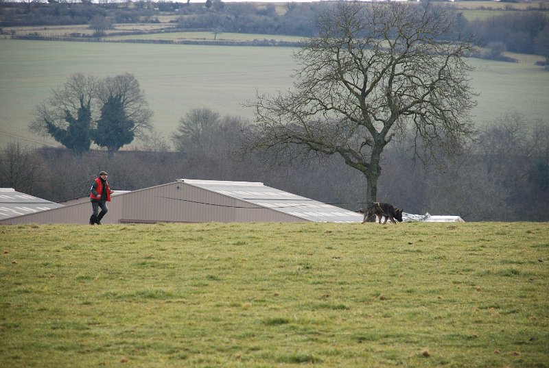 DSC_0155.JPG