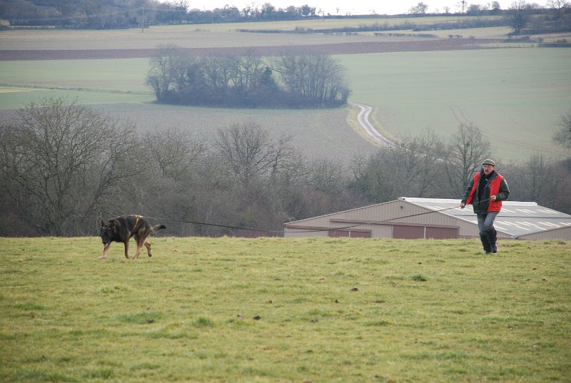 DSC_0156.JPG