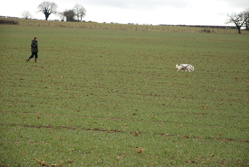 DSC_0162.JPG