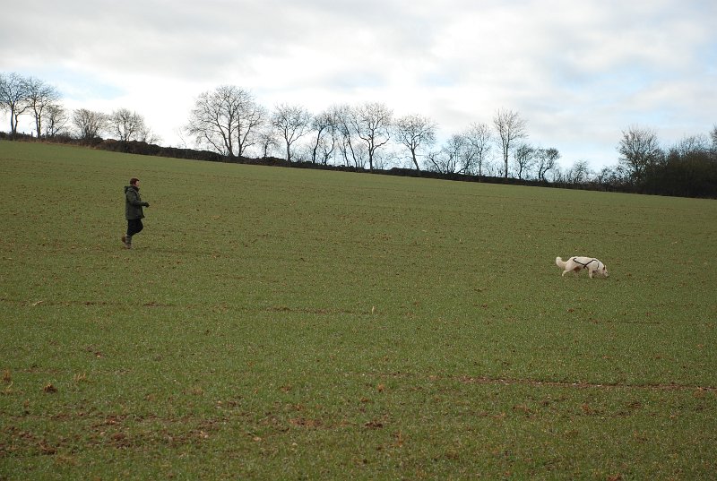 DSC_0163.JPG