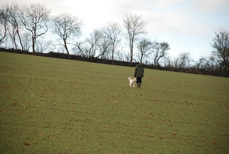 DSC_0164.JPG