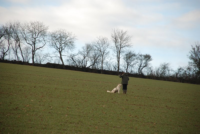 DSC_0165.JPG
