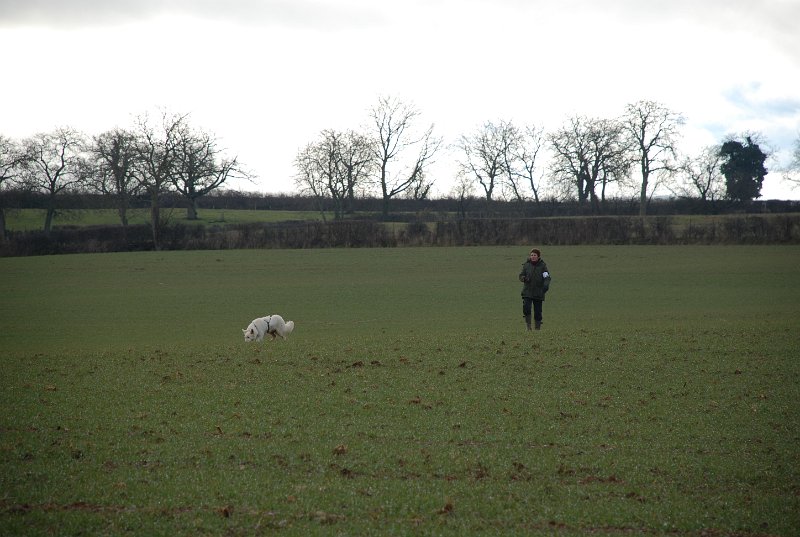 DSC_0166.JPG