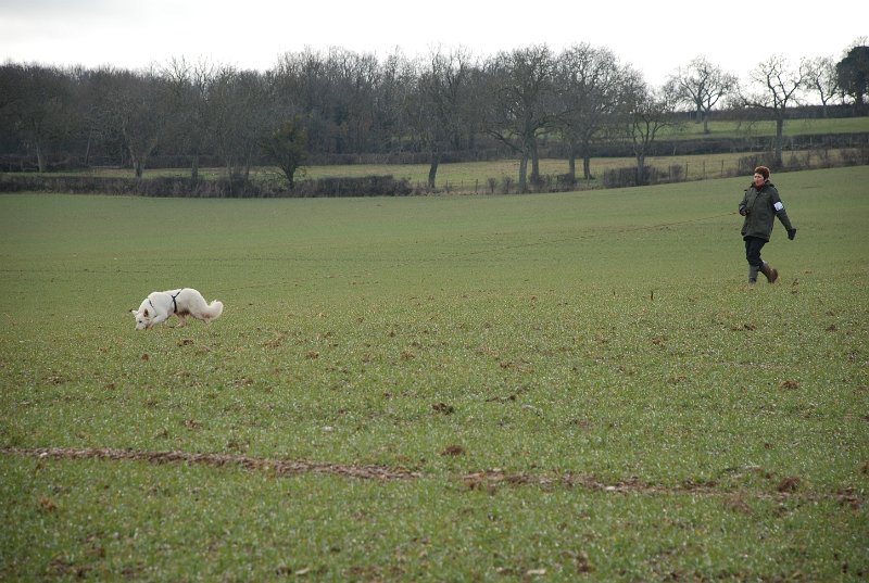 DSC_0167.JPG