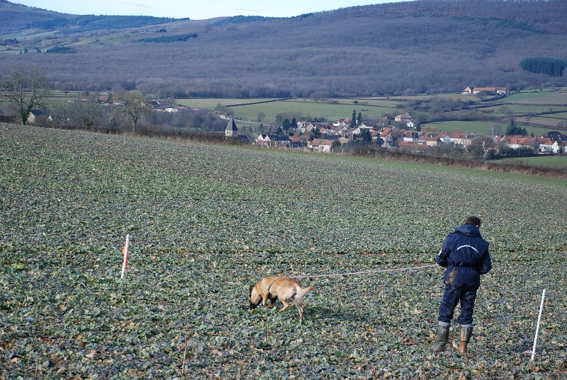 DSC_0172.JPG