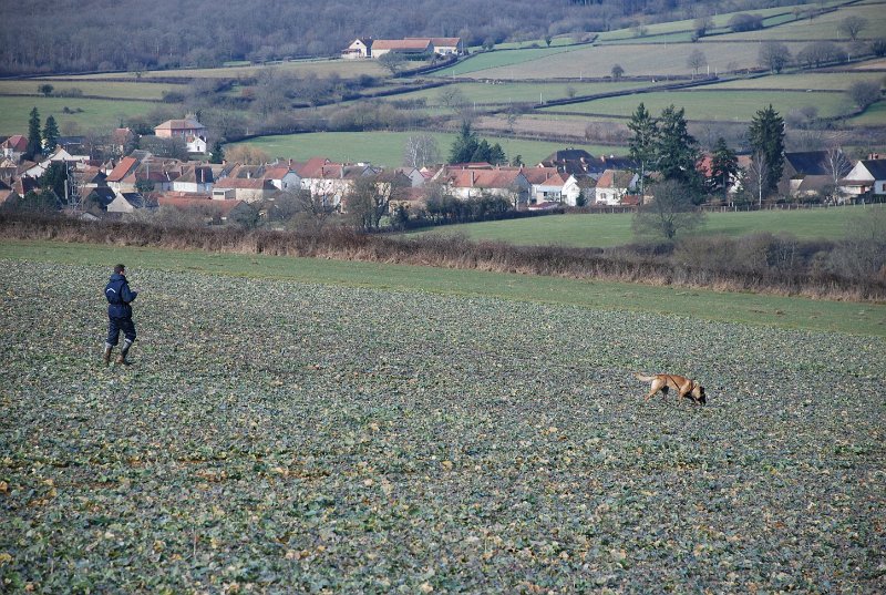 DSC_0174.JPG