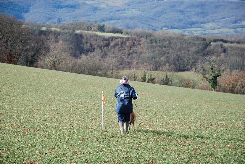 DSC_0178.JPG