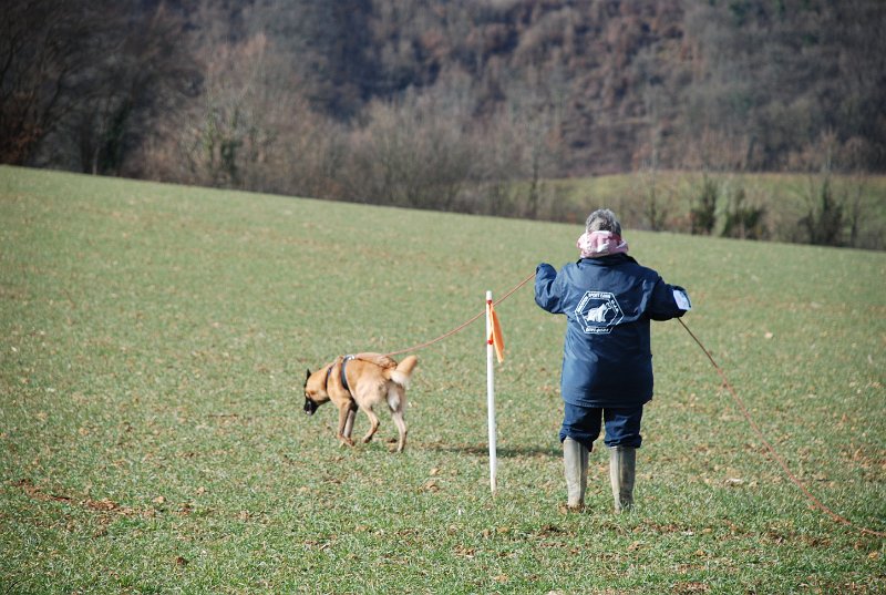 DSC_0179.JPG