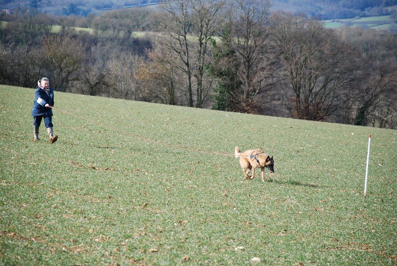 DSC_0181.JPG