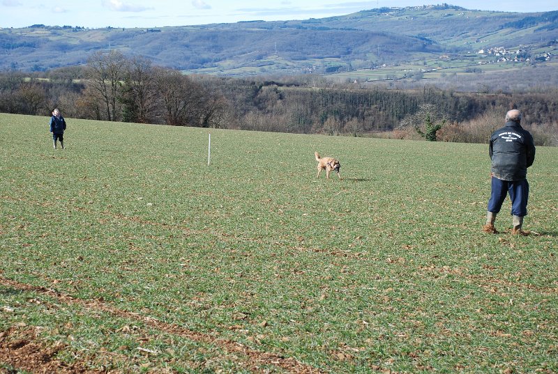 DSC_0182.JPG