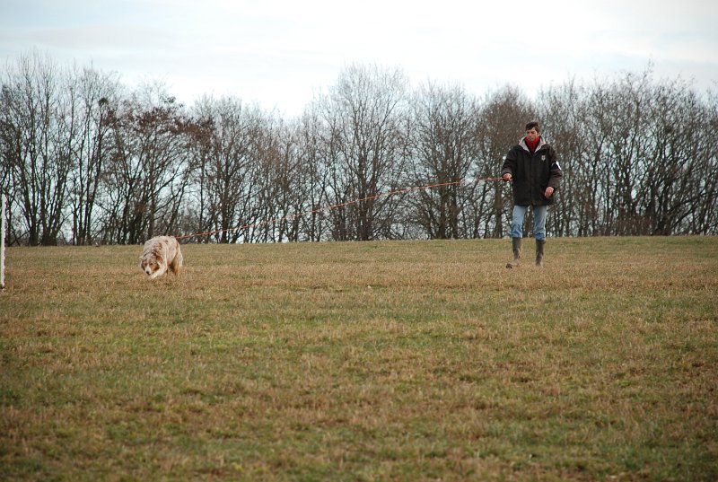 DSC_0190.JPG