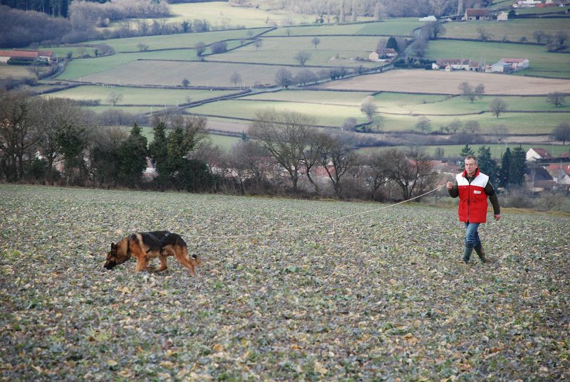 DSC_0200.JPG