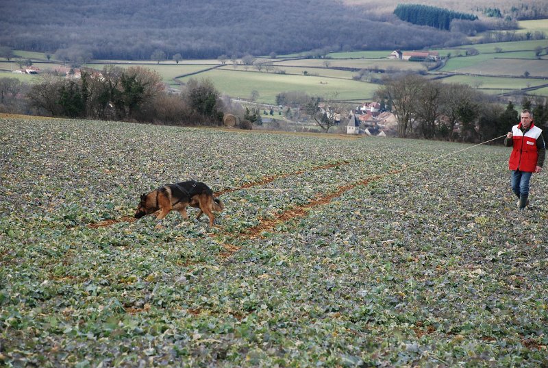 DSC_0202.JPG