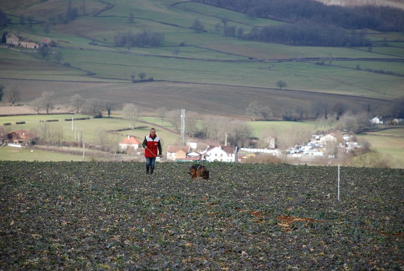 DSC_0204.JPG