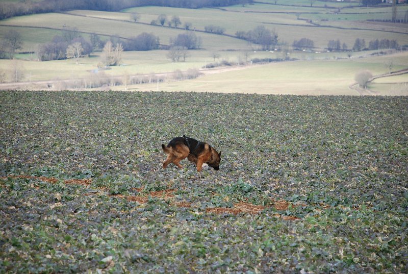 DSC_0207.JPG