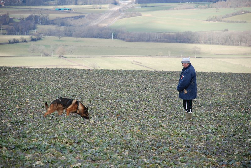 DSC_0208.JPG