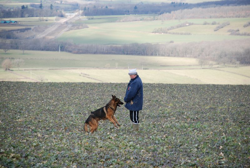 DSC_0209.JPG