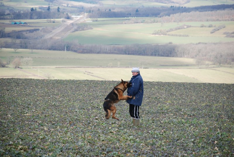 DSC_0210.JPG