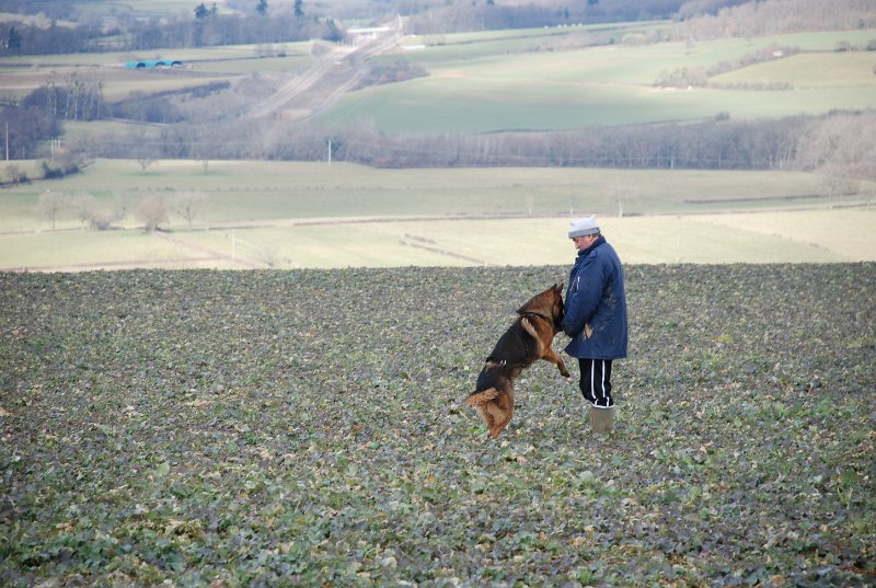 DSC_0211.JPG