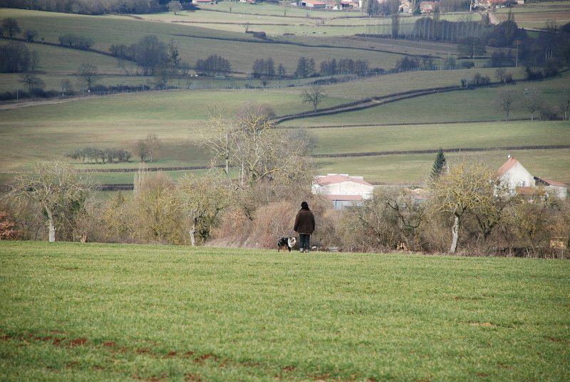 DSC_0219.JPG