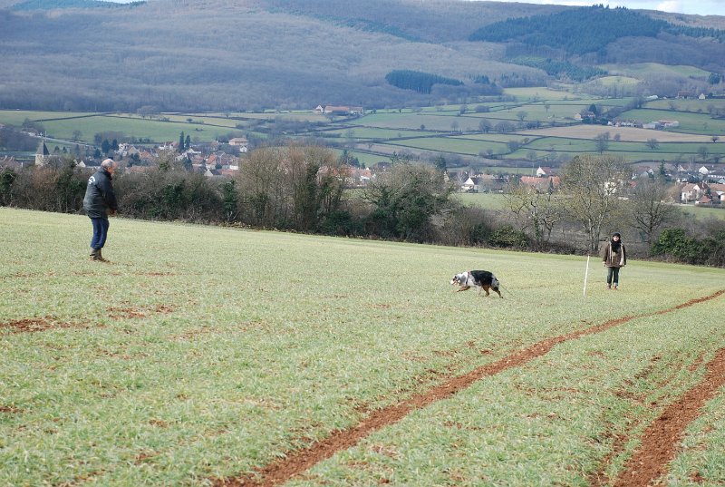 DSC_0223.JPG
