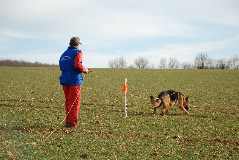 DSC_0230.JPG