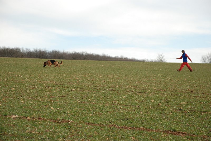 DSC_0231.JPG