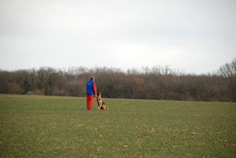 DSC_0232.JPG