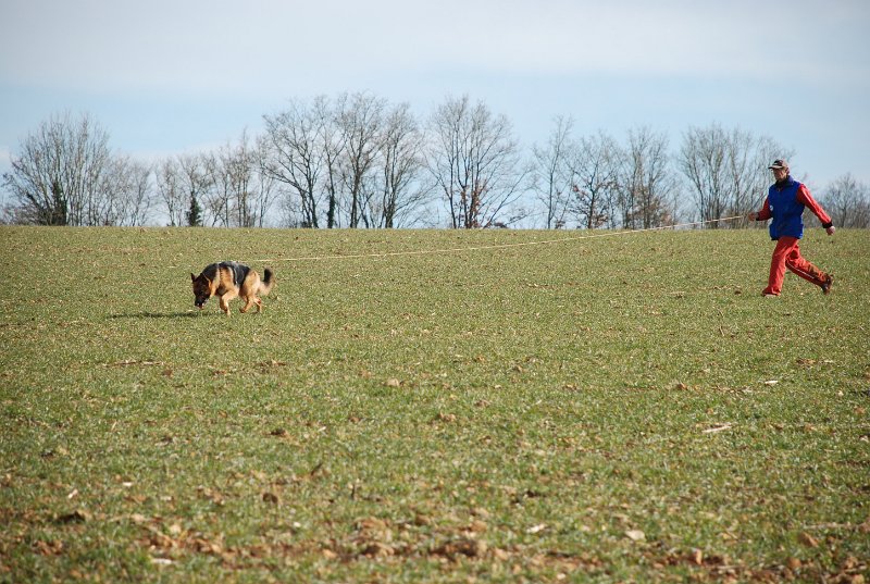 DSC_0233.JPG