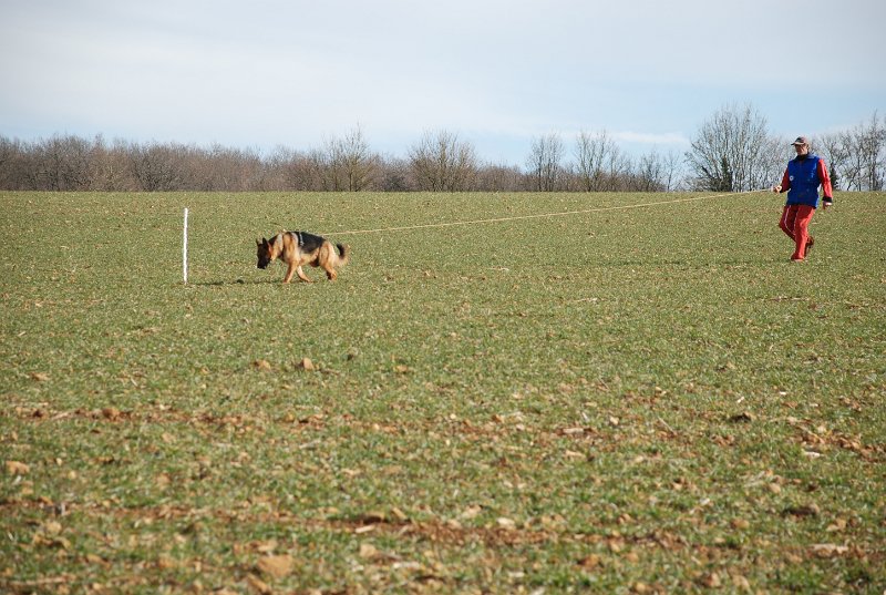 DSC_0234.JPG