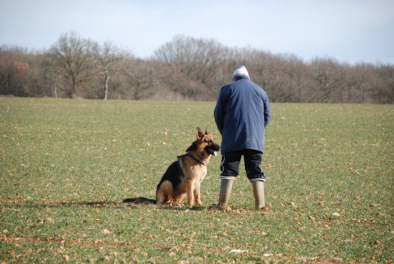 DSC_0236.JPG