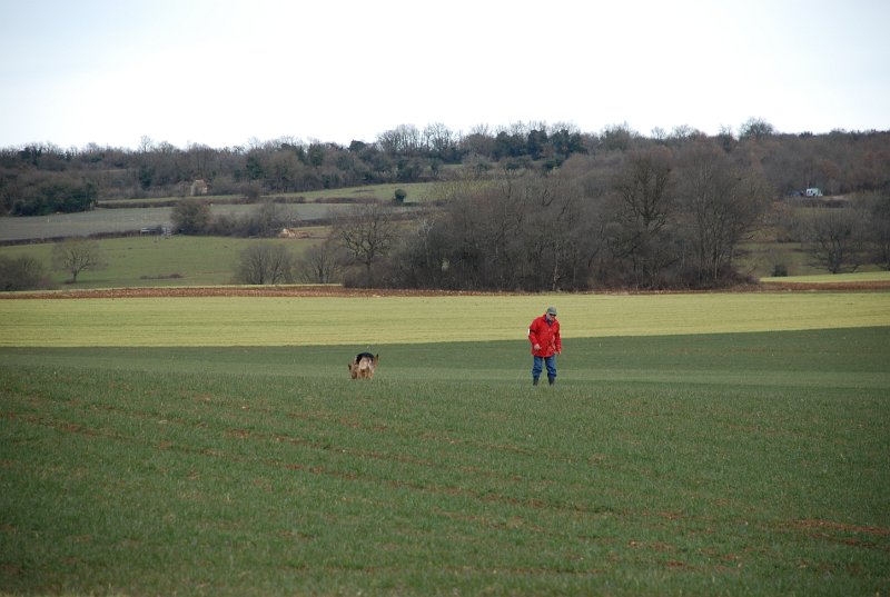 DSC_0237.JPG