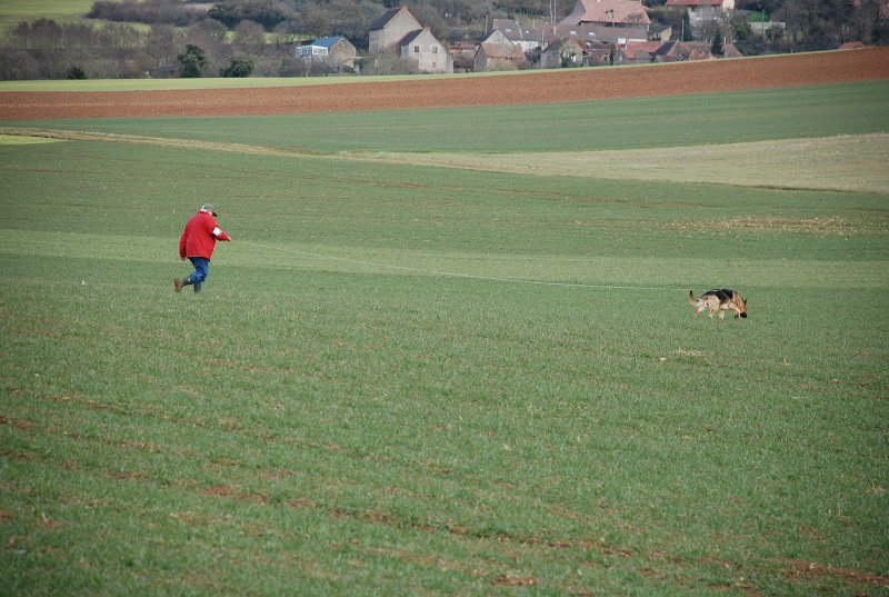 DSC_0238.JPG