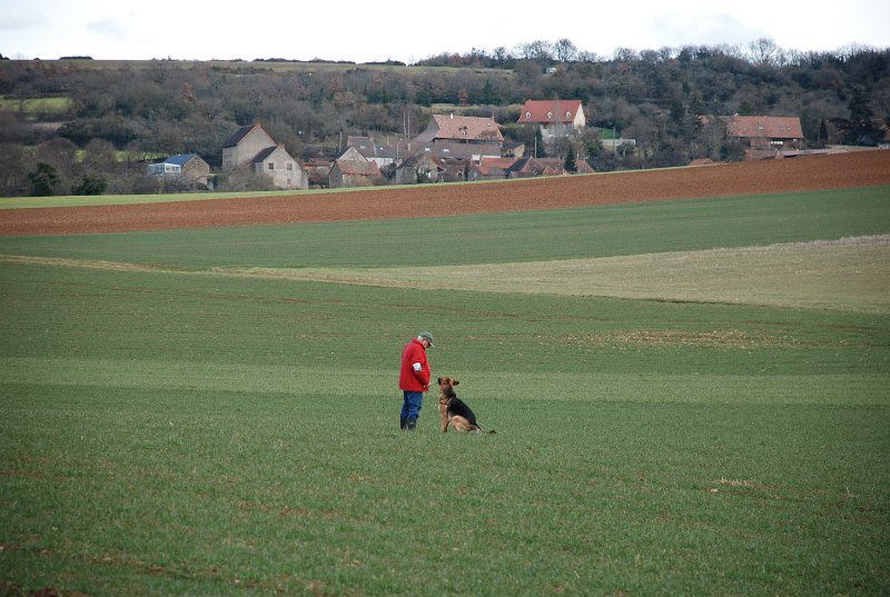 DSC_0239.JPG
