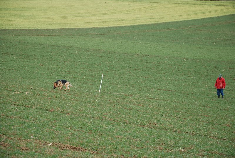 DSC_0241.JPG