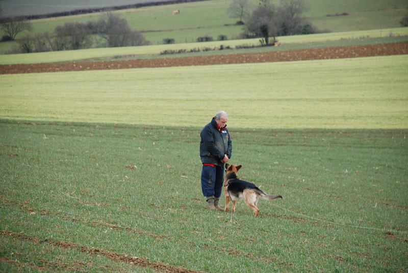 DSC_0242.JPG