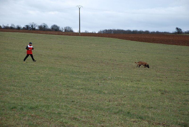 DSC_0246.JPG