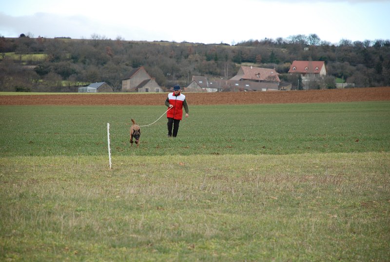 DSC_0248.JPG