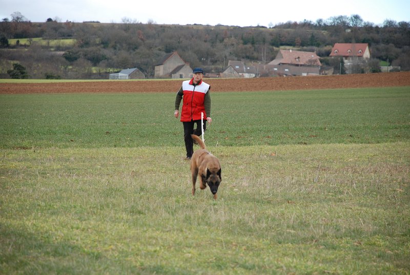 DSC_0249.JPG