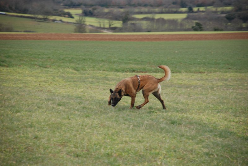 DSC_0250.JPG